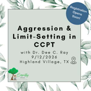 9/12/2026 - 6 CEs - Aggression and Limit-Setting in Child-Centered Play Therapy (Highland Village, TX)